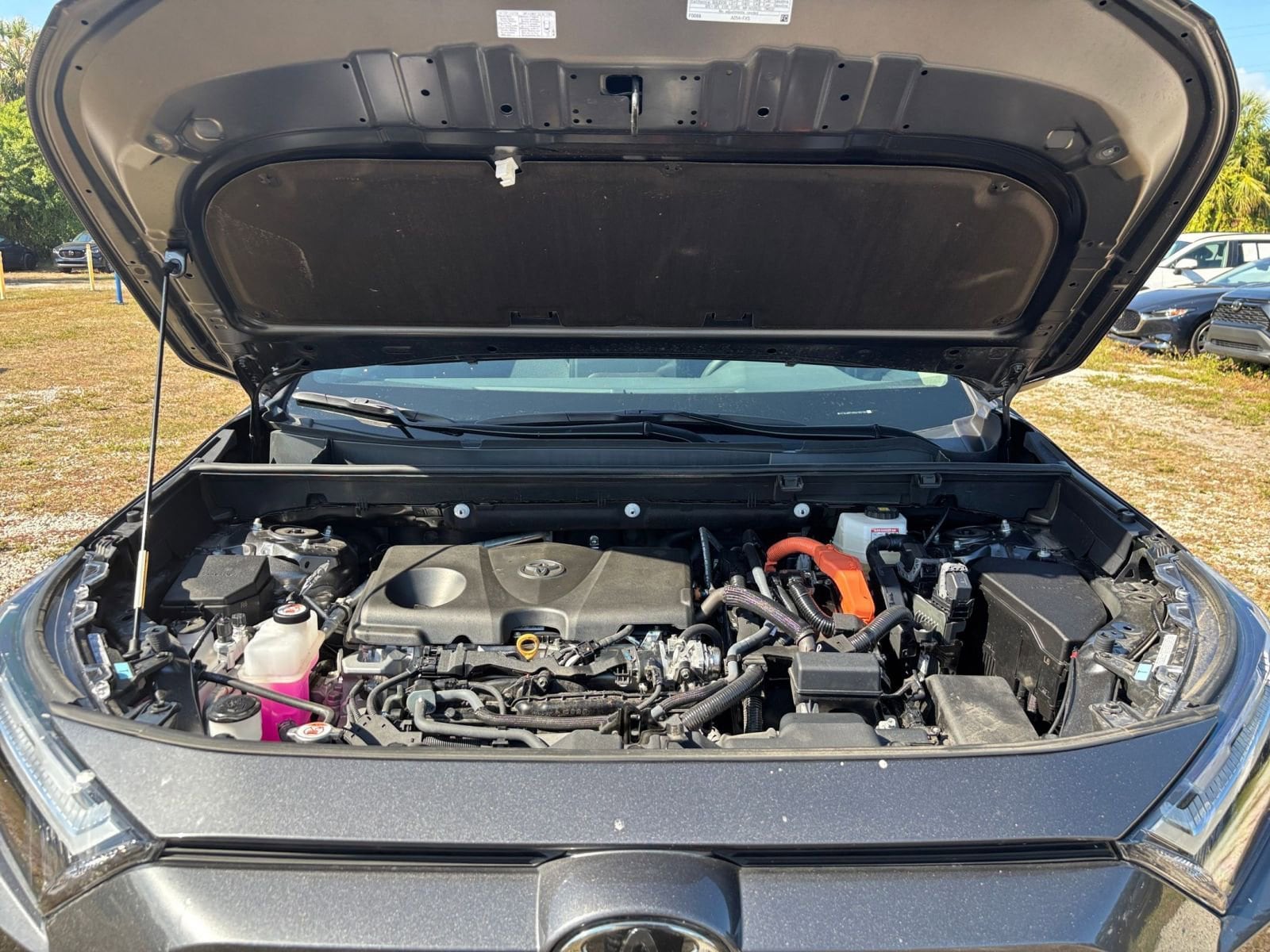 Thumbnail: 2025 Toyota RAV4 - 32