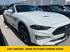 2022 Ford Mustang  -
                  Clearwater, FL
