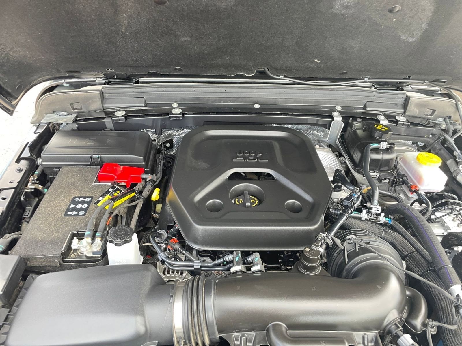 Thumbnail: 2025 Jeep Wrangler - 32