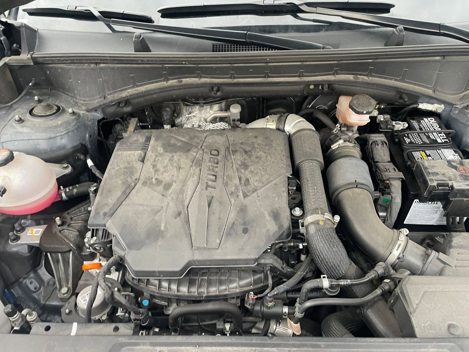 Thumbnail: 2025 Hyundai Santa Fe - 32