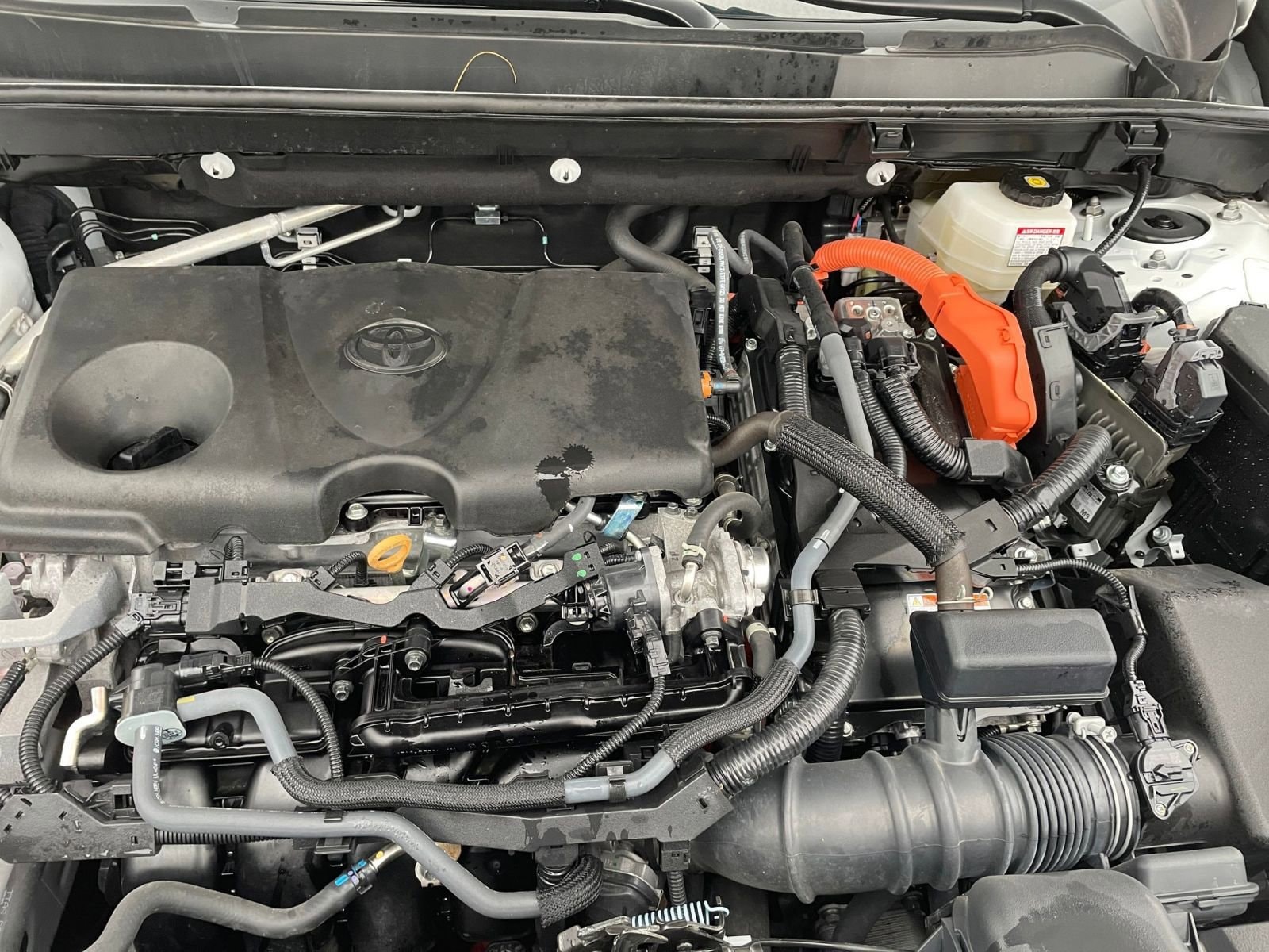 Thumbnail: 2025 Toyota RAV4 - 31