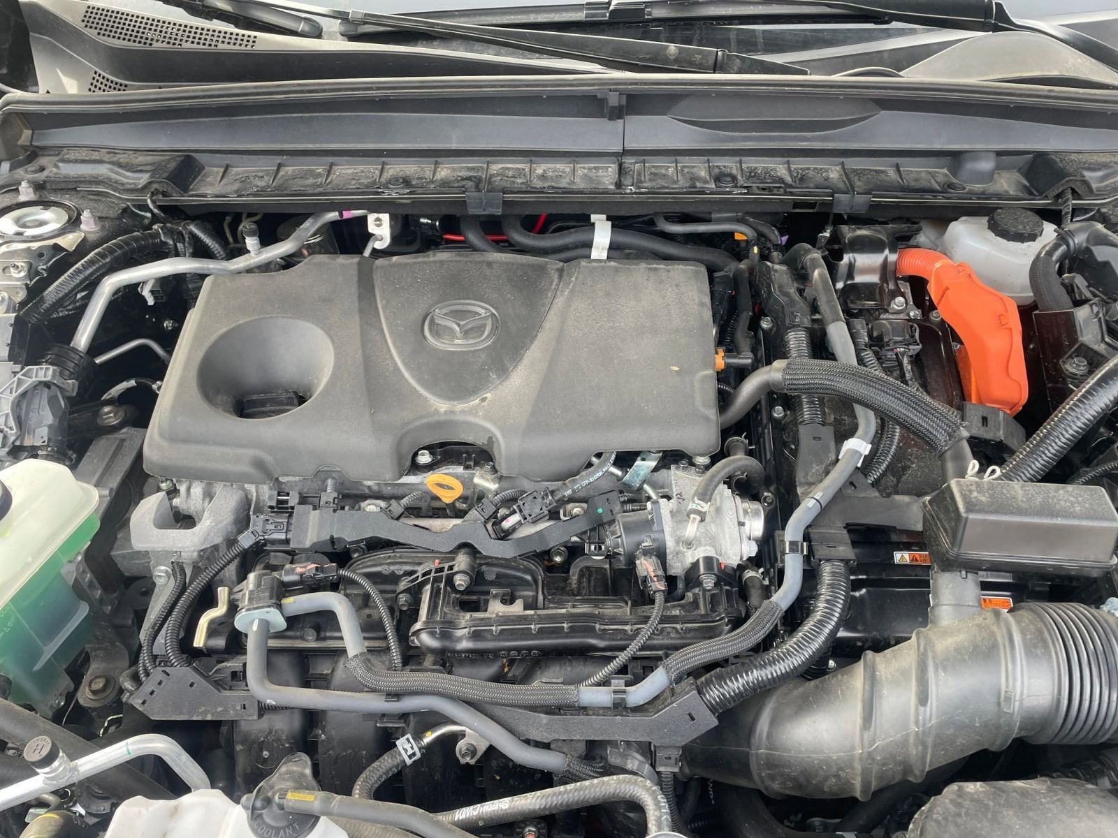 Thumbnail: 2025 Mazda CX-50 - 33