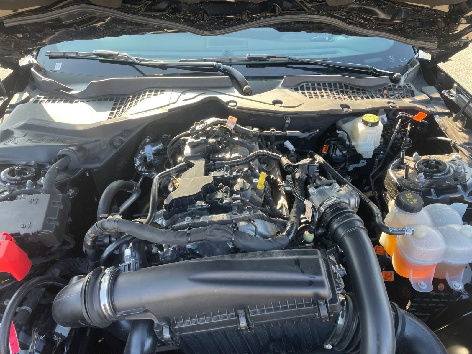 Thumbnail: 2024 Ford Mustang - 31