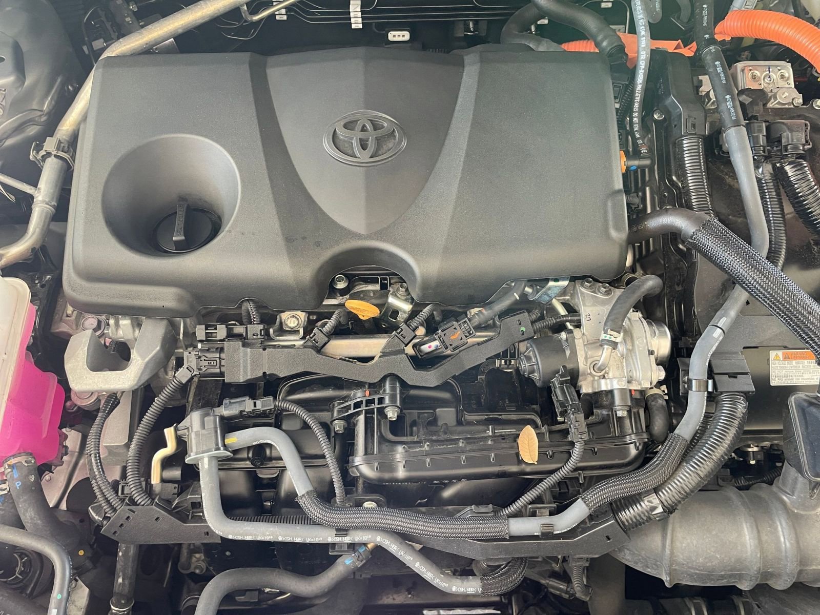 Thumbnail: 2025 Toyota RAV4 - 31