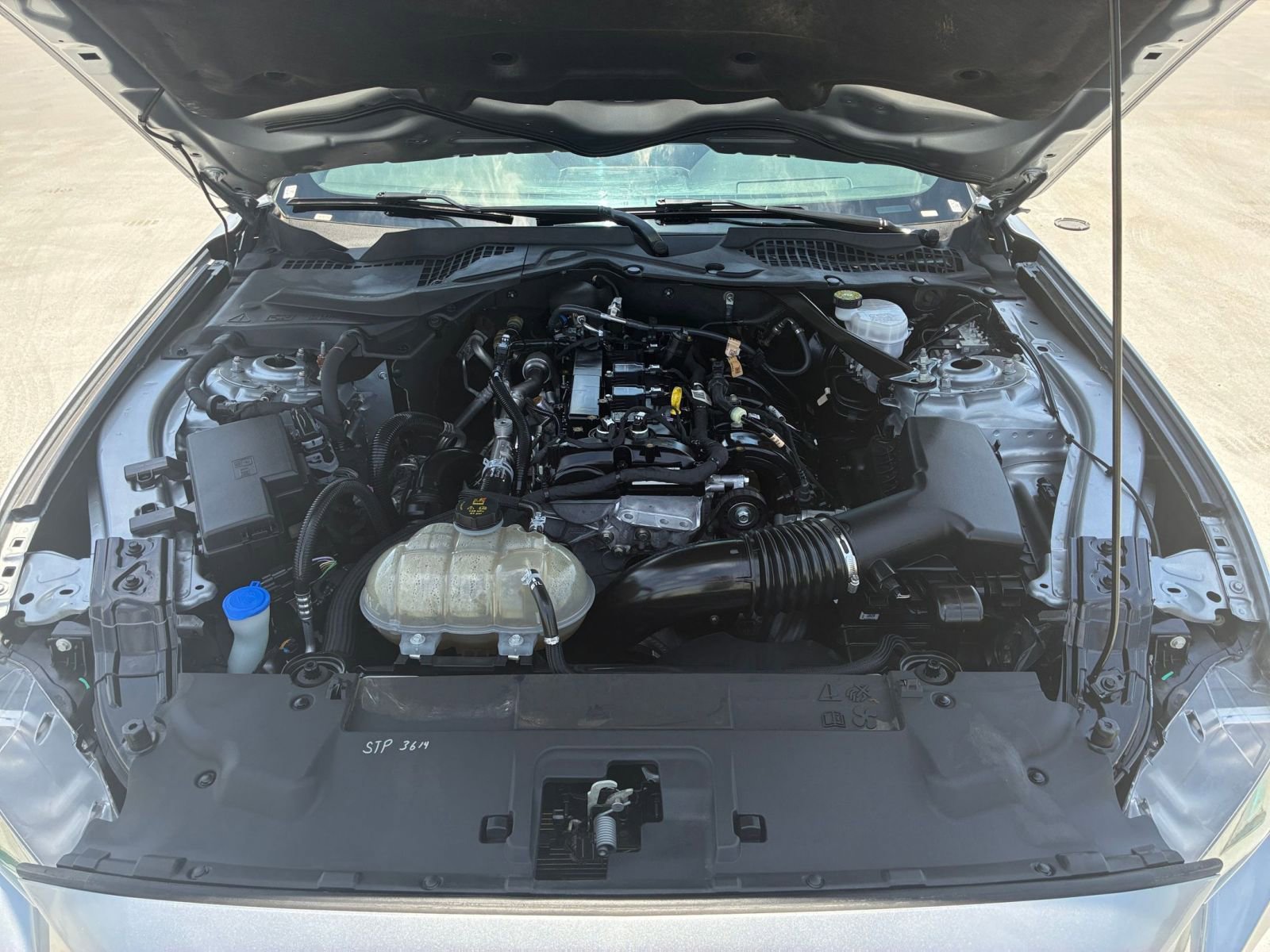 Thumbnail: 2023 Ford Mustang - 31