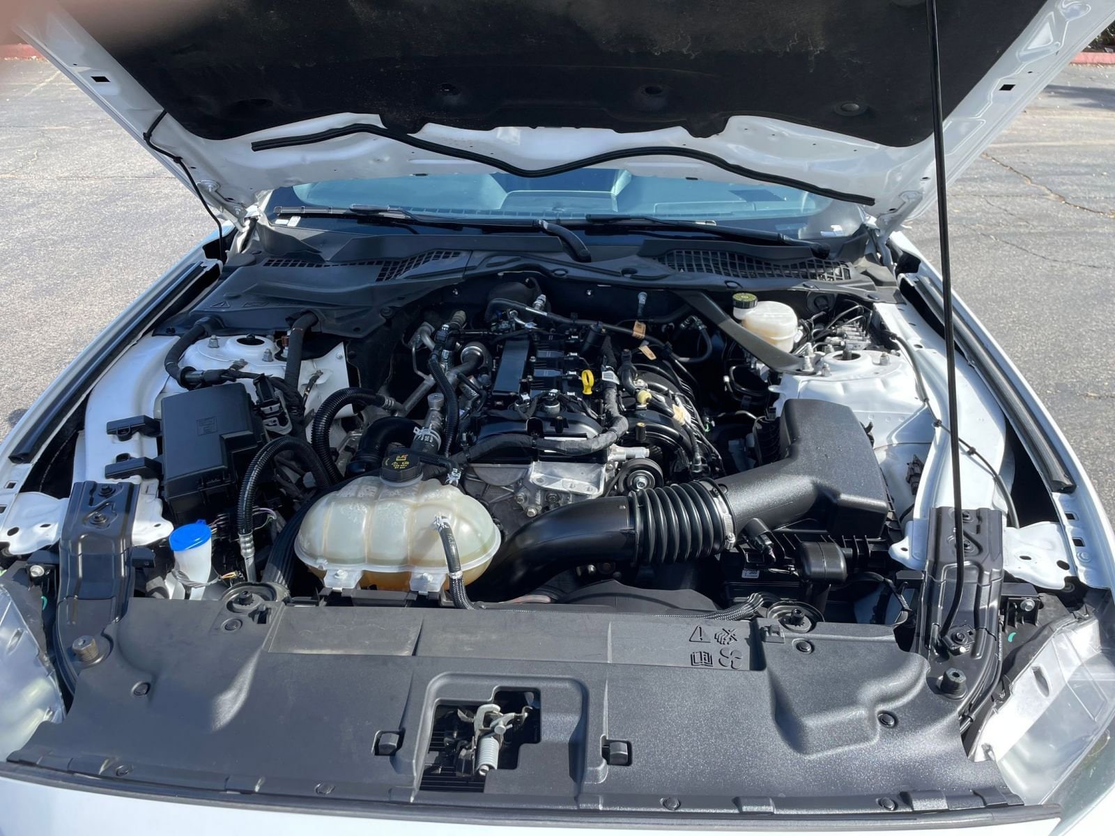 Thumbnail: 2023 Ford Mustang - 31