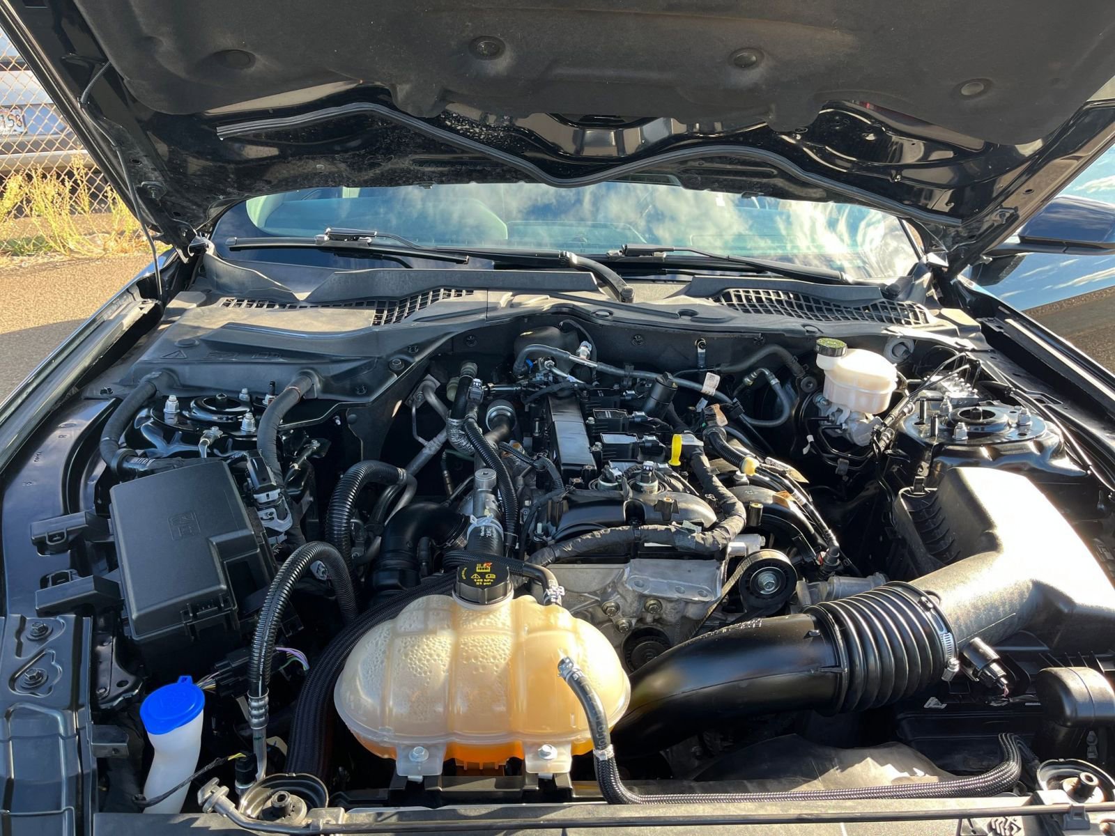 Thumbnail: 2023 Ford Mustang - 32