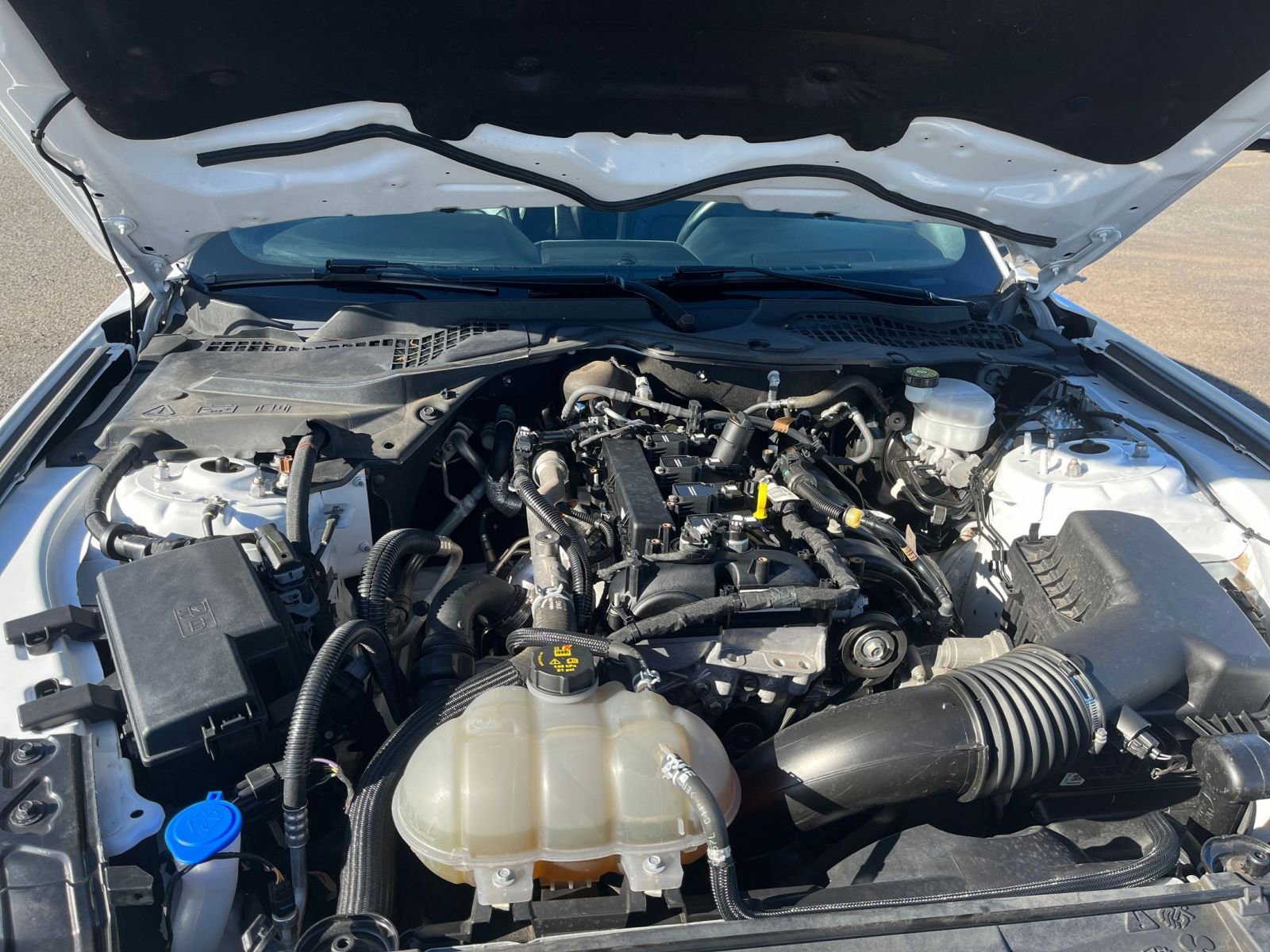 Thumbnail: 2023 Ford Mustang - 32