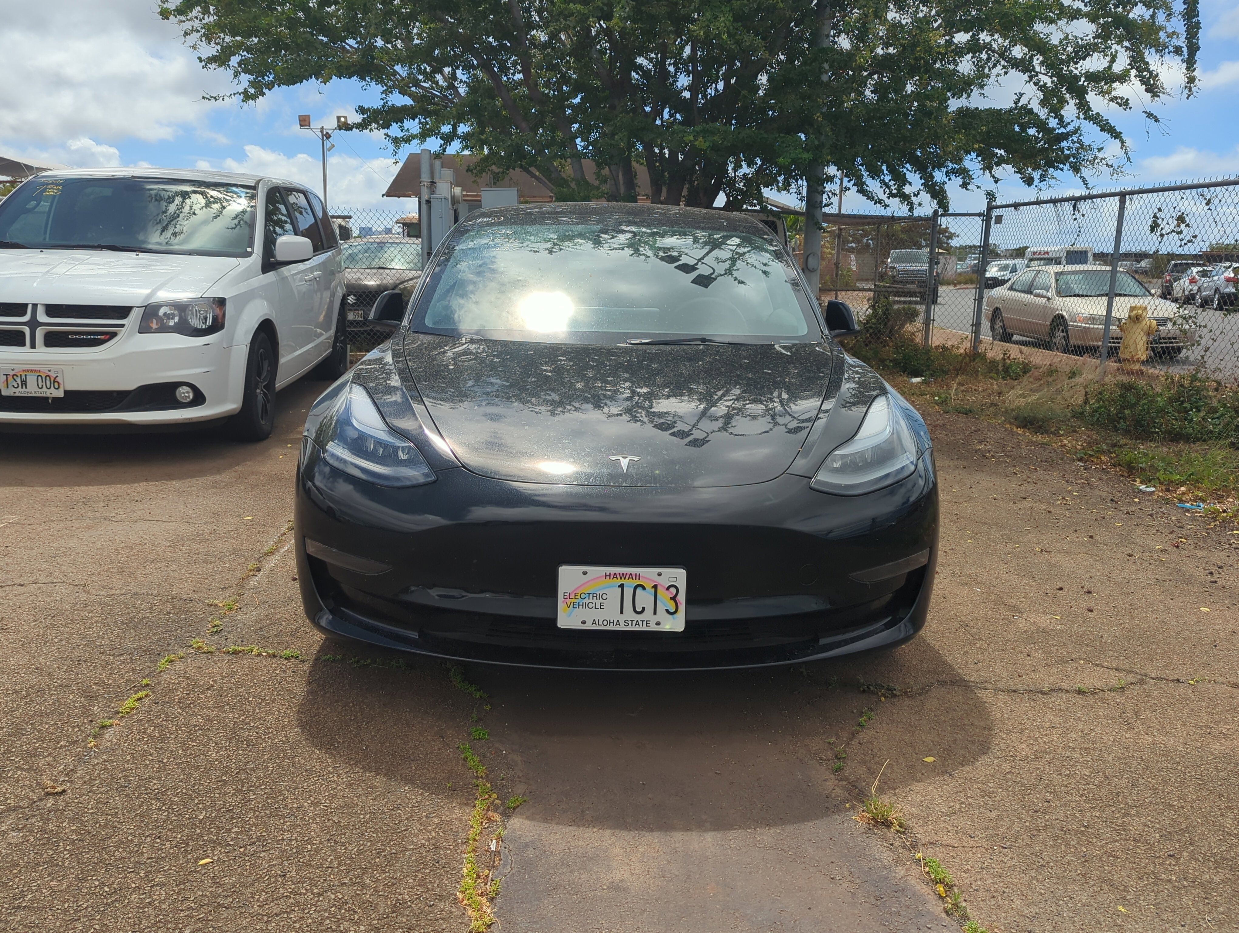 Certified 2023 Tesla Model 3  with VIN 5YJ3E1EA3PF458696 for sale in Seattle, WA