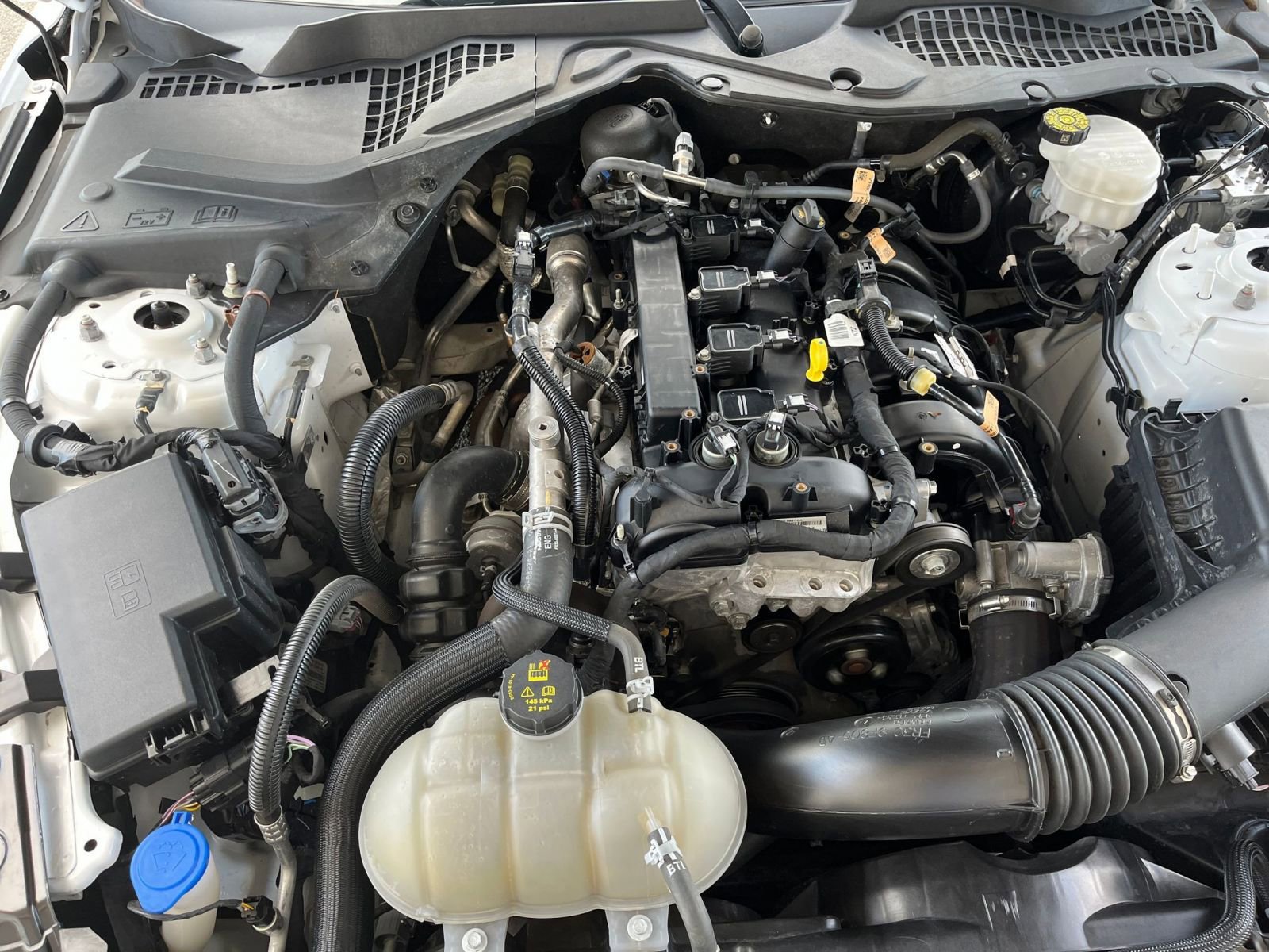 Thumbnail: 2023 Ford Mustang - 31