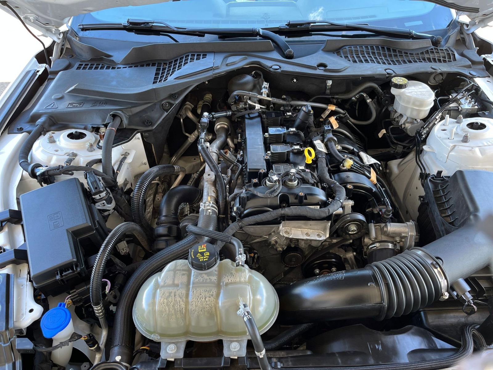 Thumbnail: 2023 Ford Mustang - 31