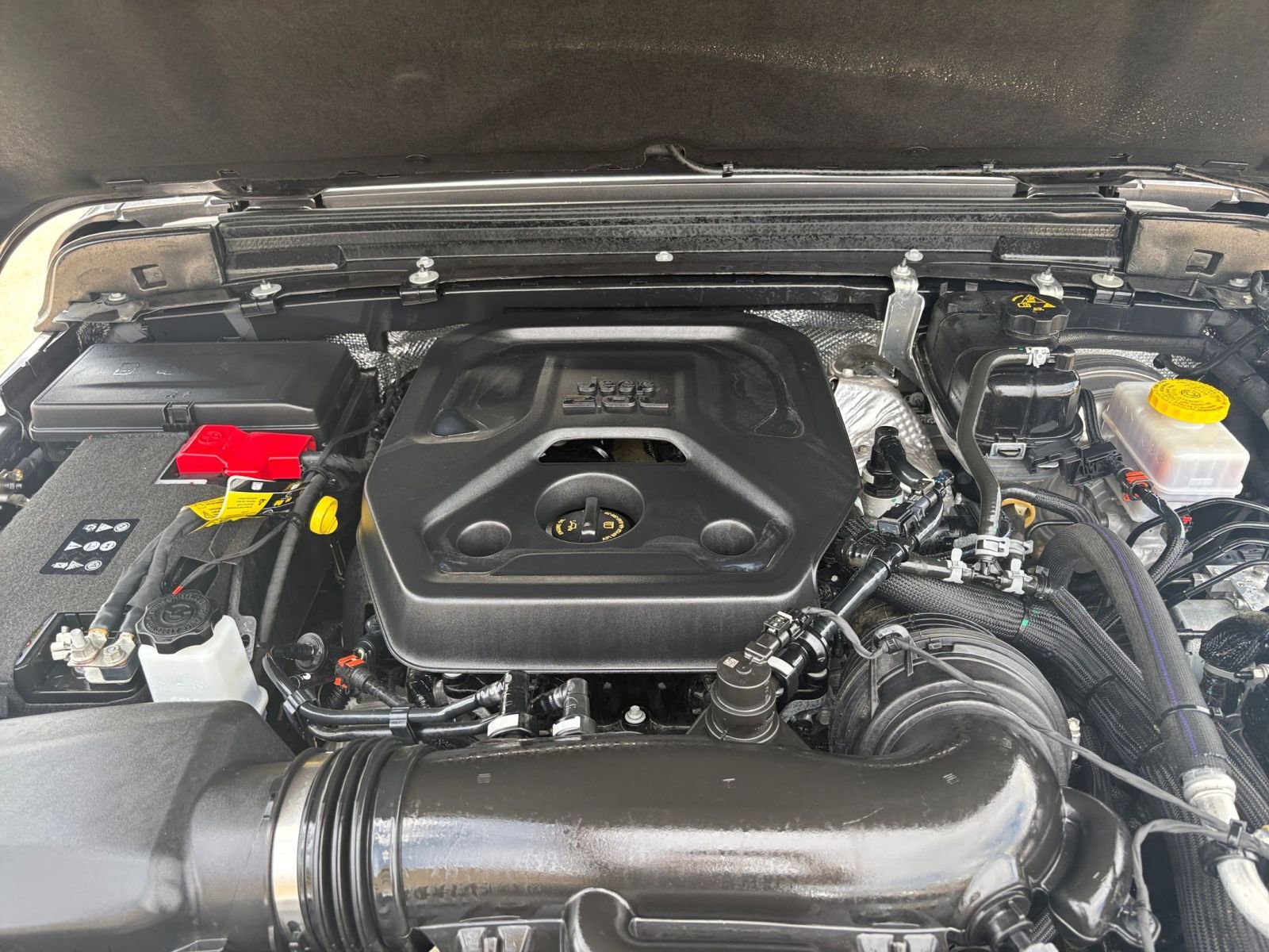 Thumbnail: 2025 Jeep Wrangler - 31