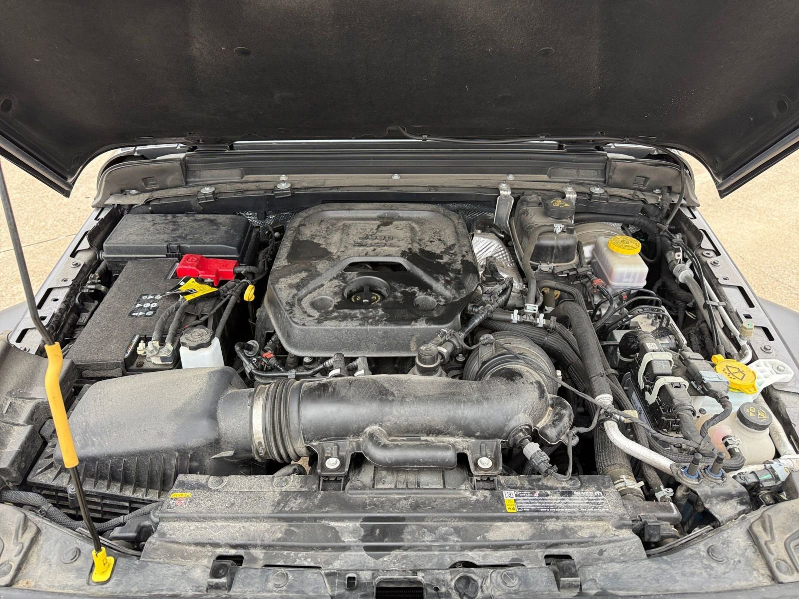 Thumbnail: 2025 Jeep Wrangler - 33