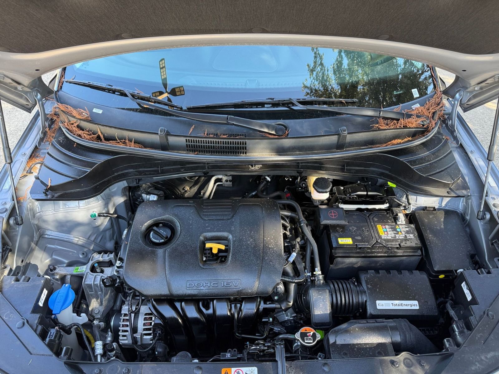 Thumbnail: 2025 Kia Soul - 32