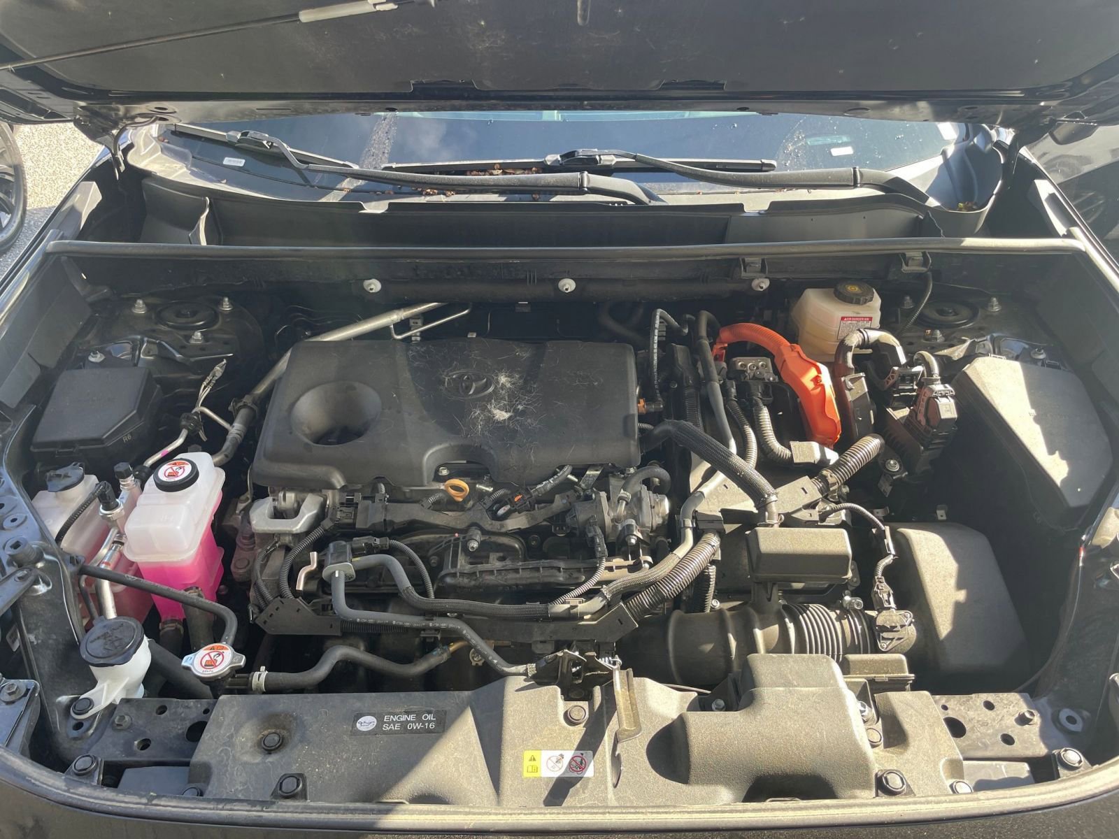 Thumbnail: 2025 Toyota RAV4 - 31