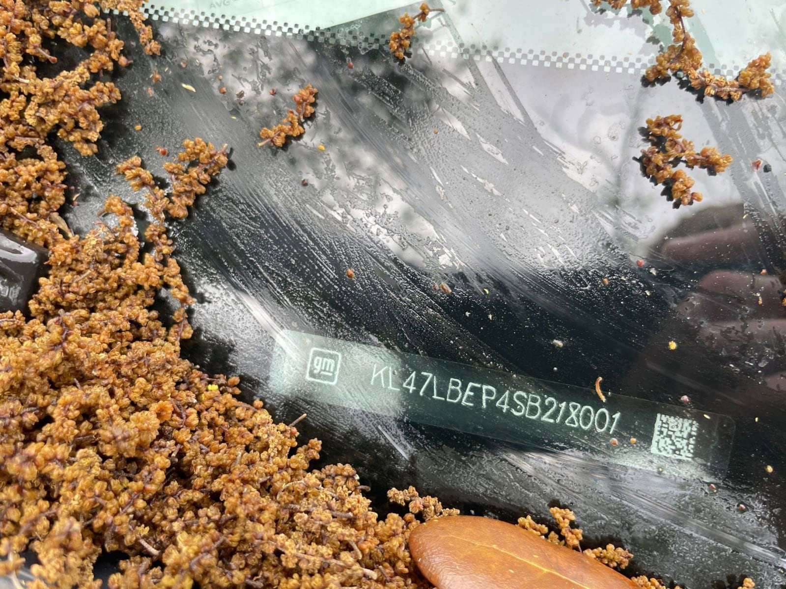 Thumbnail: 2025 Buick Envista - 5