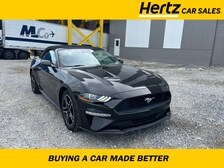 2022 Ford Mustang  -
                Lynn, MA