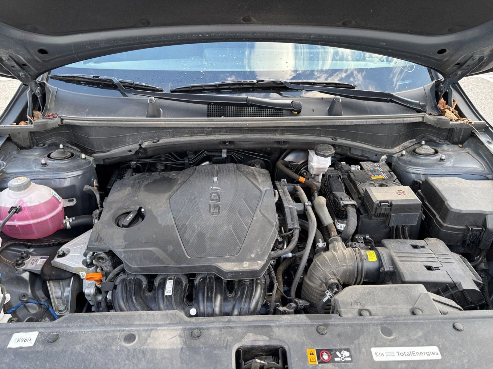 Thumbnail: 2024 Kia Sportage - 31