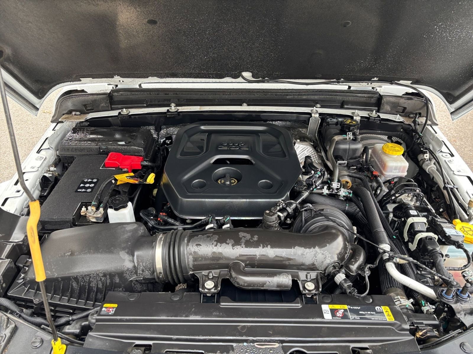 Thumbnail: 2025 Jeep Wrangler - 31