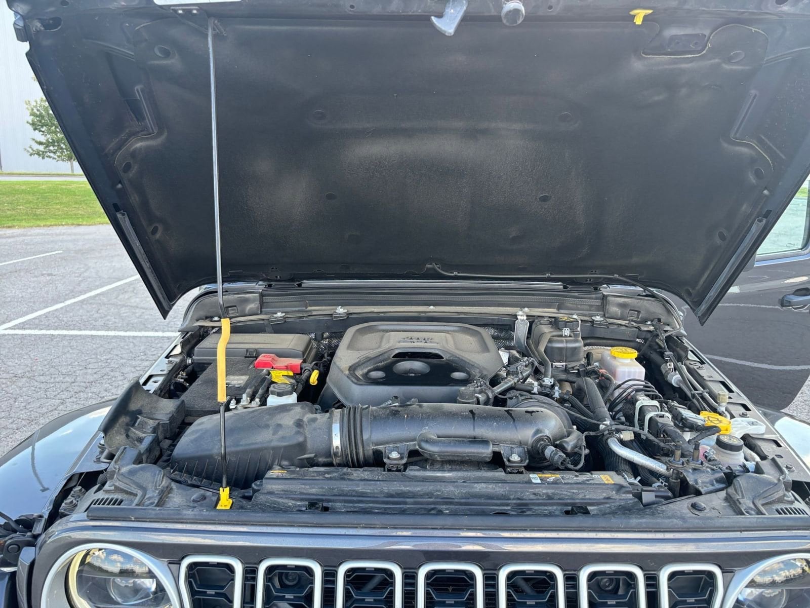 Thumbnail: 2025 Jeep Wrangler - 31