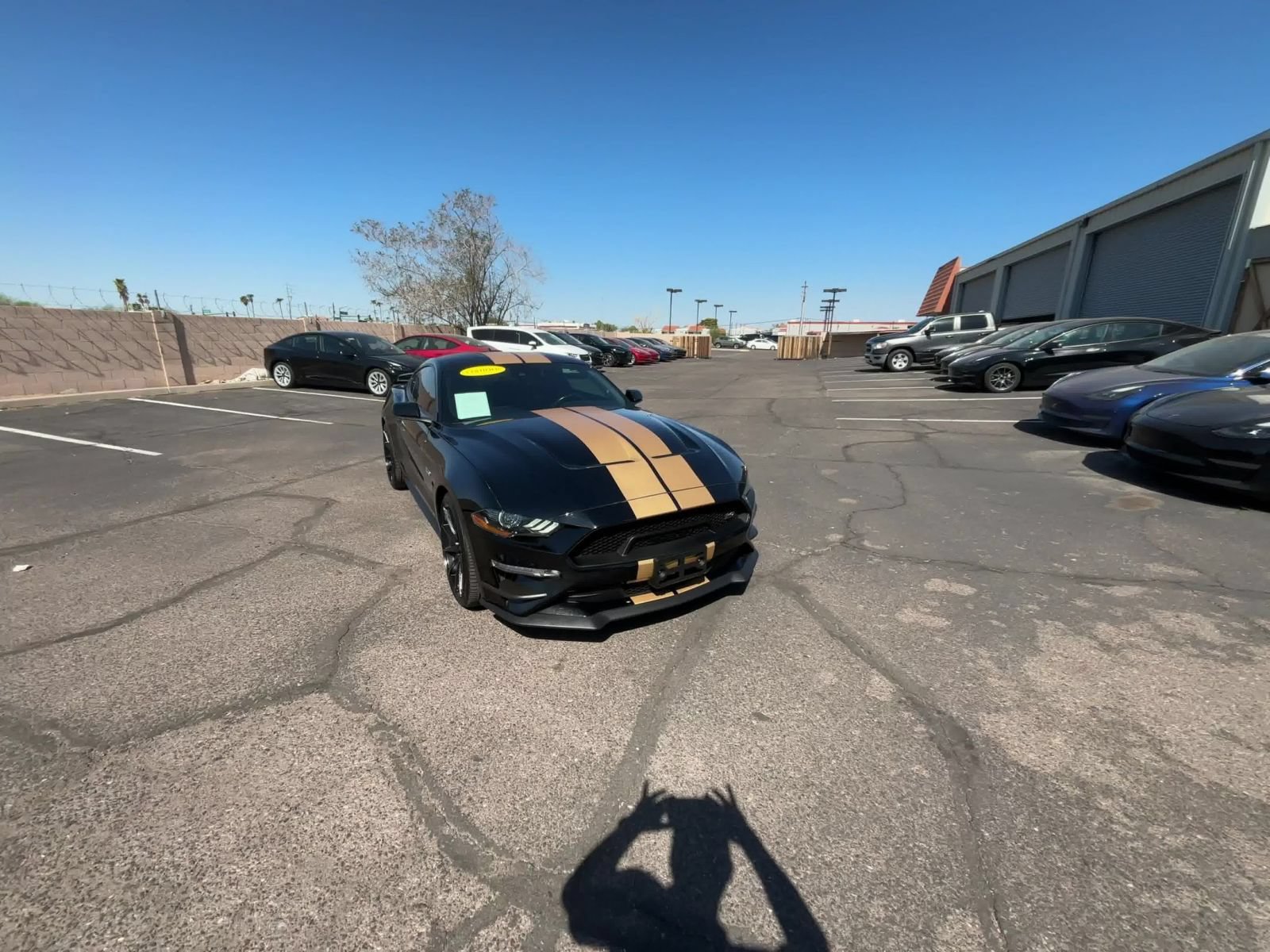 Thumbnail: 2022 Ford Mustang - 13