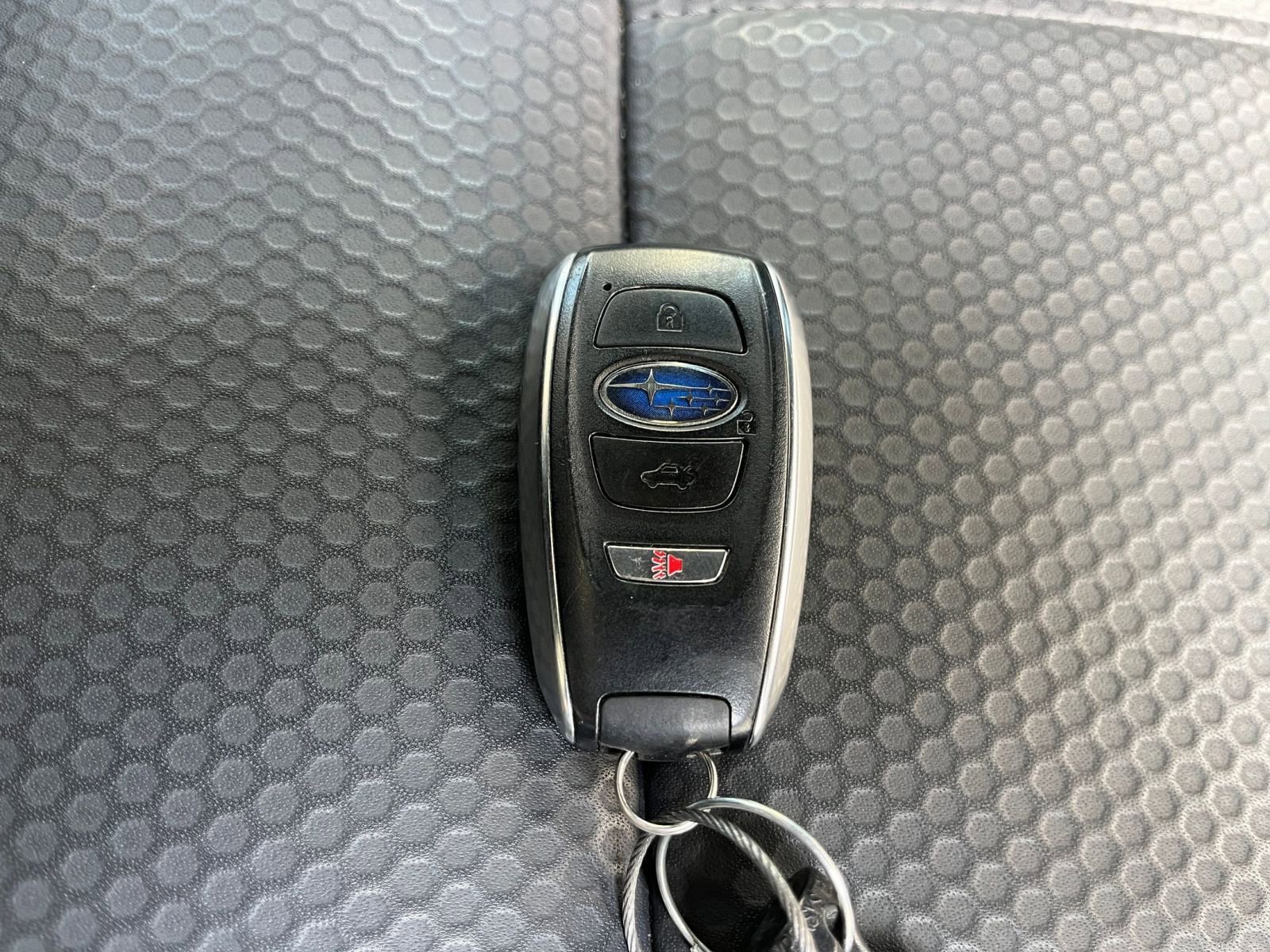2024 Subaru Forester Wilderness 22