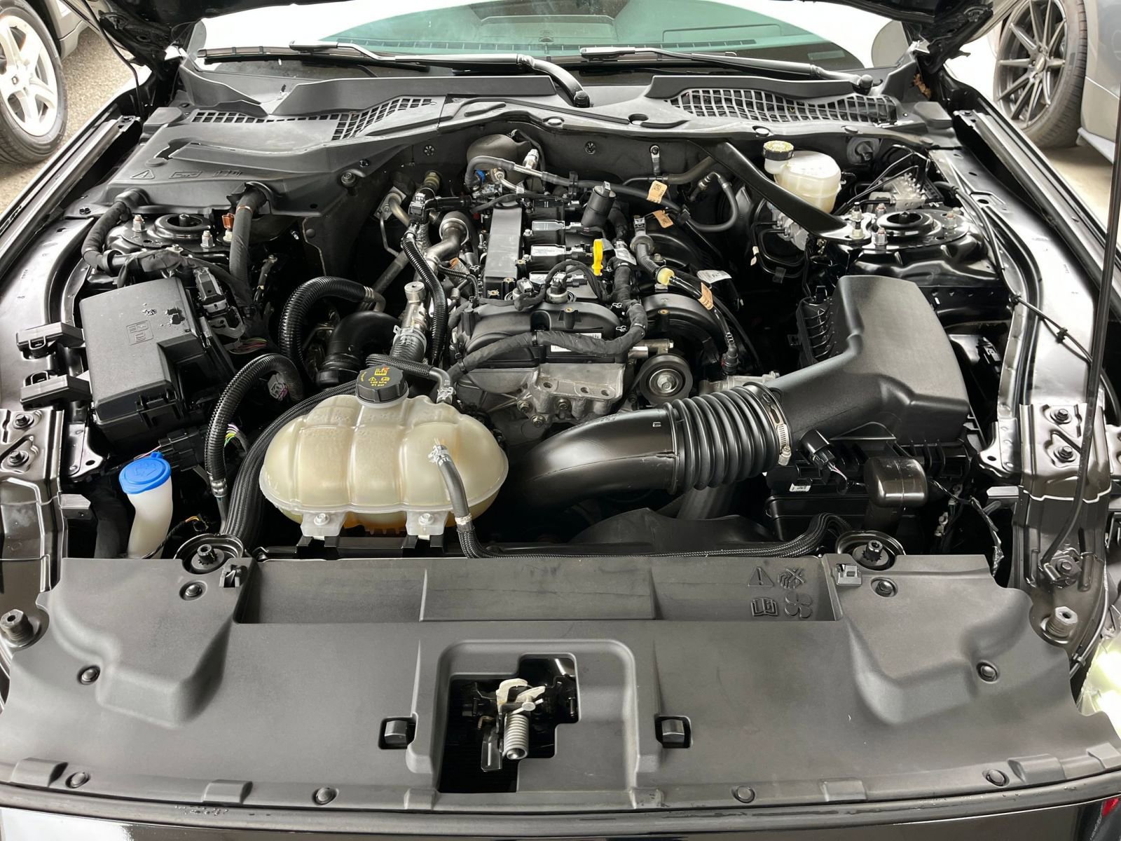 2023 Ford Mustang  31