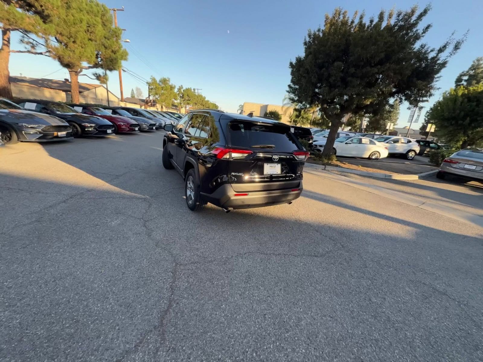 Thumbnail: 2025 Toyota RAV4 - 16