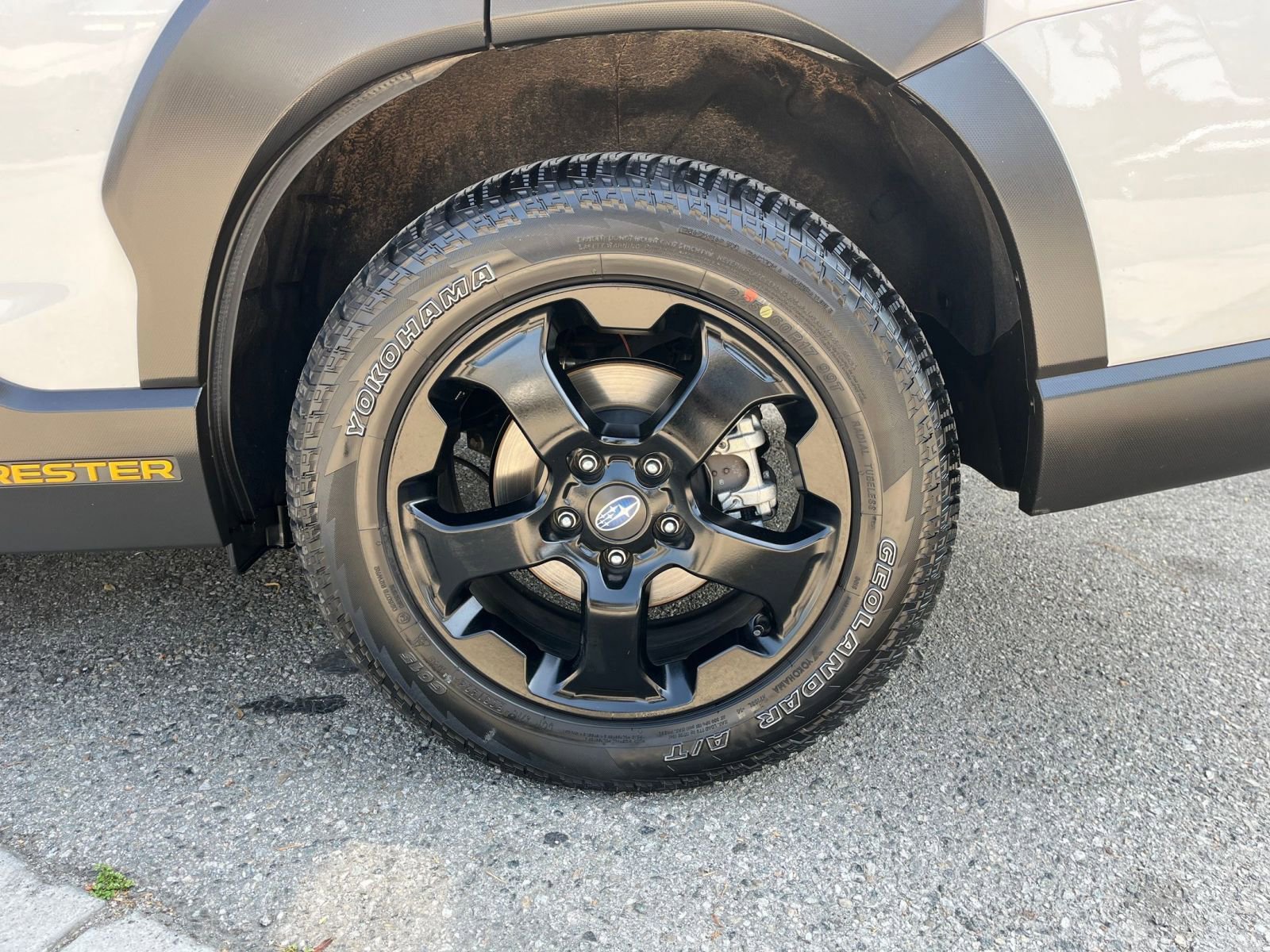 2024 Subaru Forester Wilderness 30