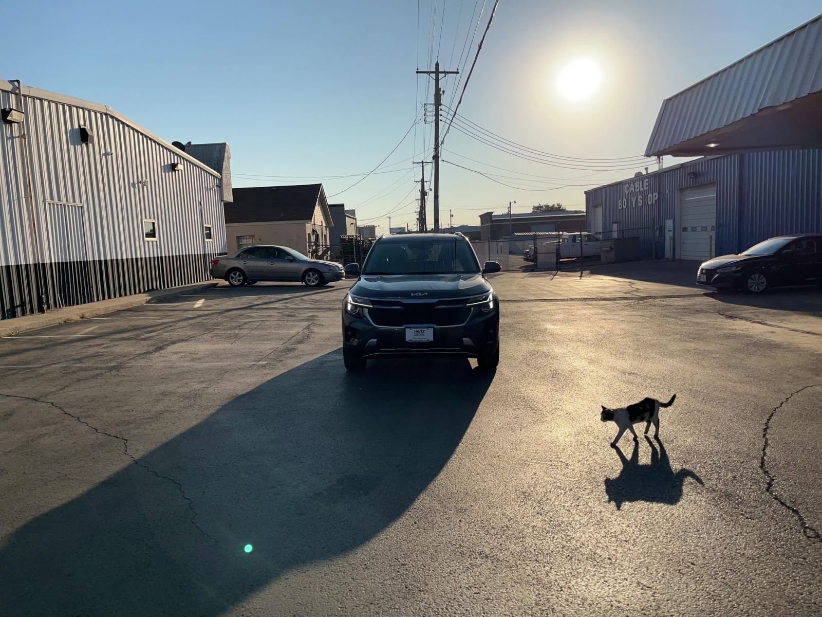 Thumbnail: 2025 Kia Seltos - 16