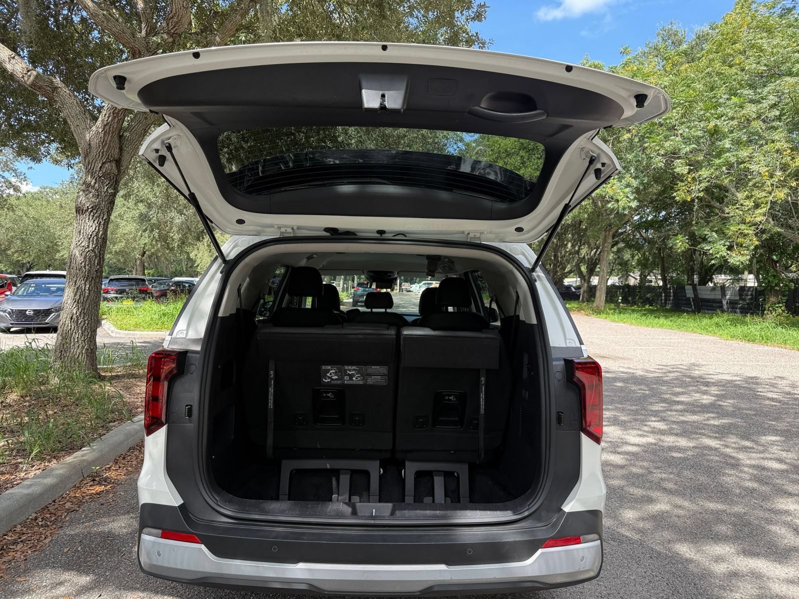 Thumbnail: 2026 Kia Carnival - 31