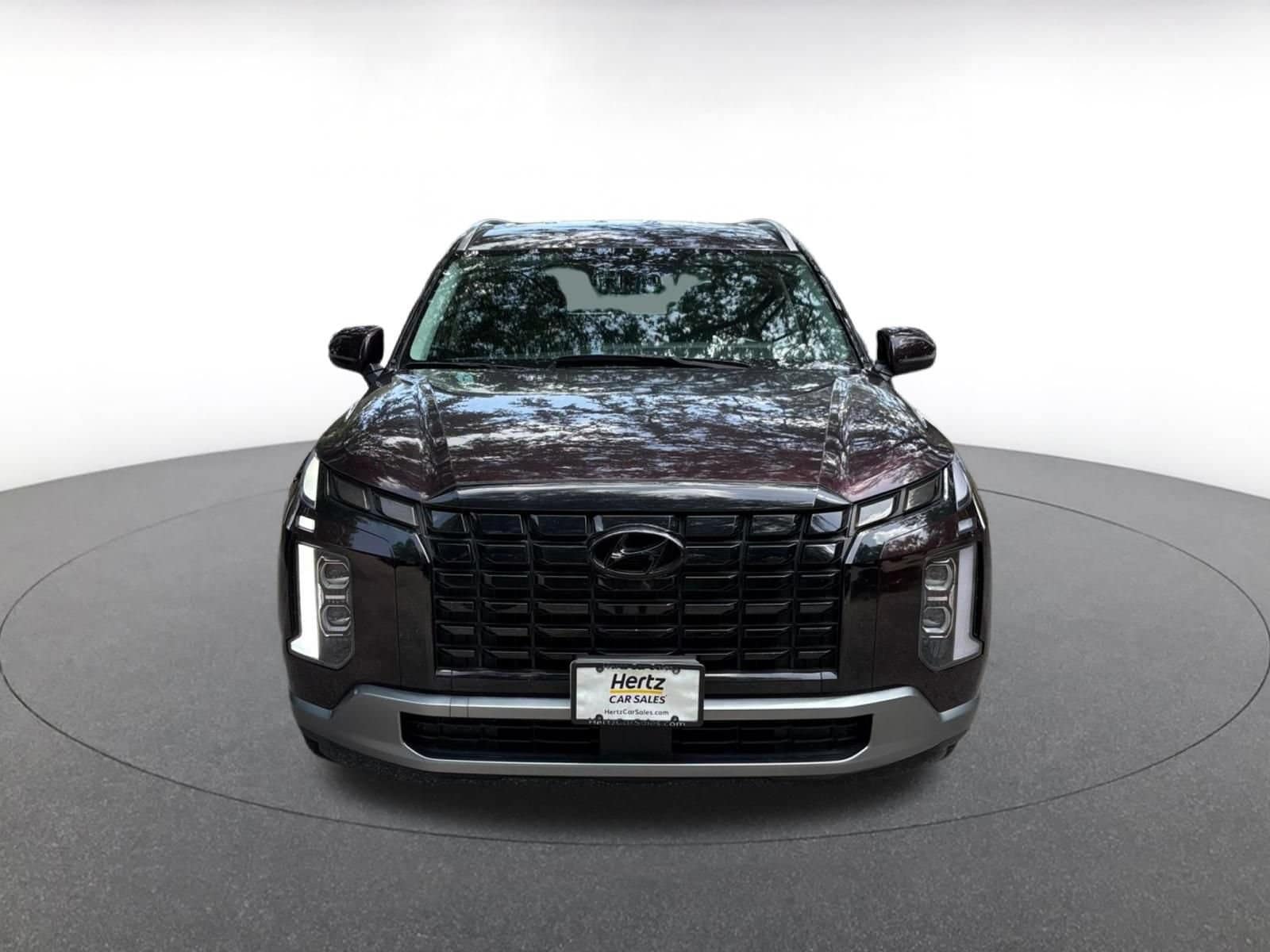 Thumbnail: 2024 Hyundai Palisade - 2