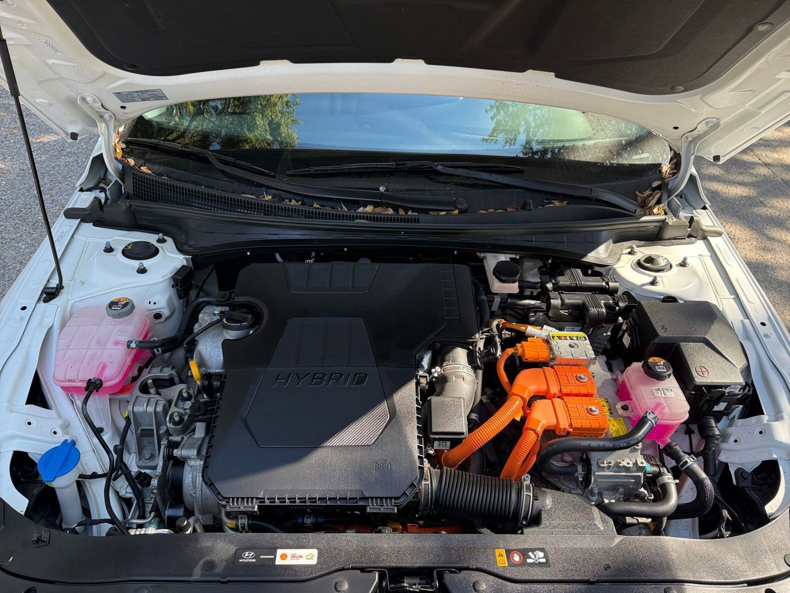 Thumbnail: 2025 Hyundai Elantra - 25