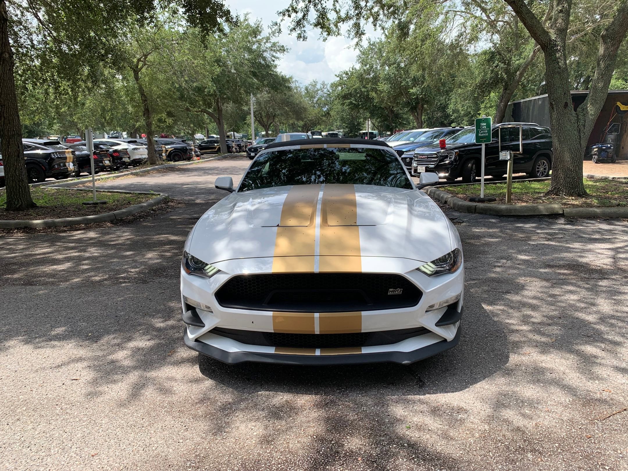 Thumbnail: 2022 Ford Mustang - 2