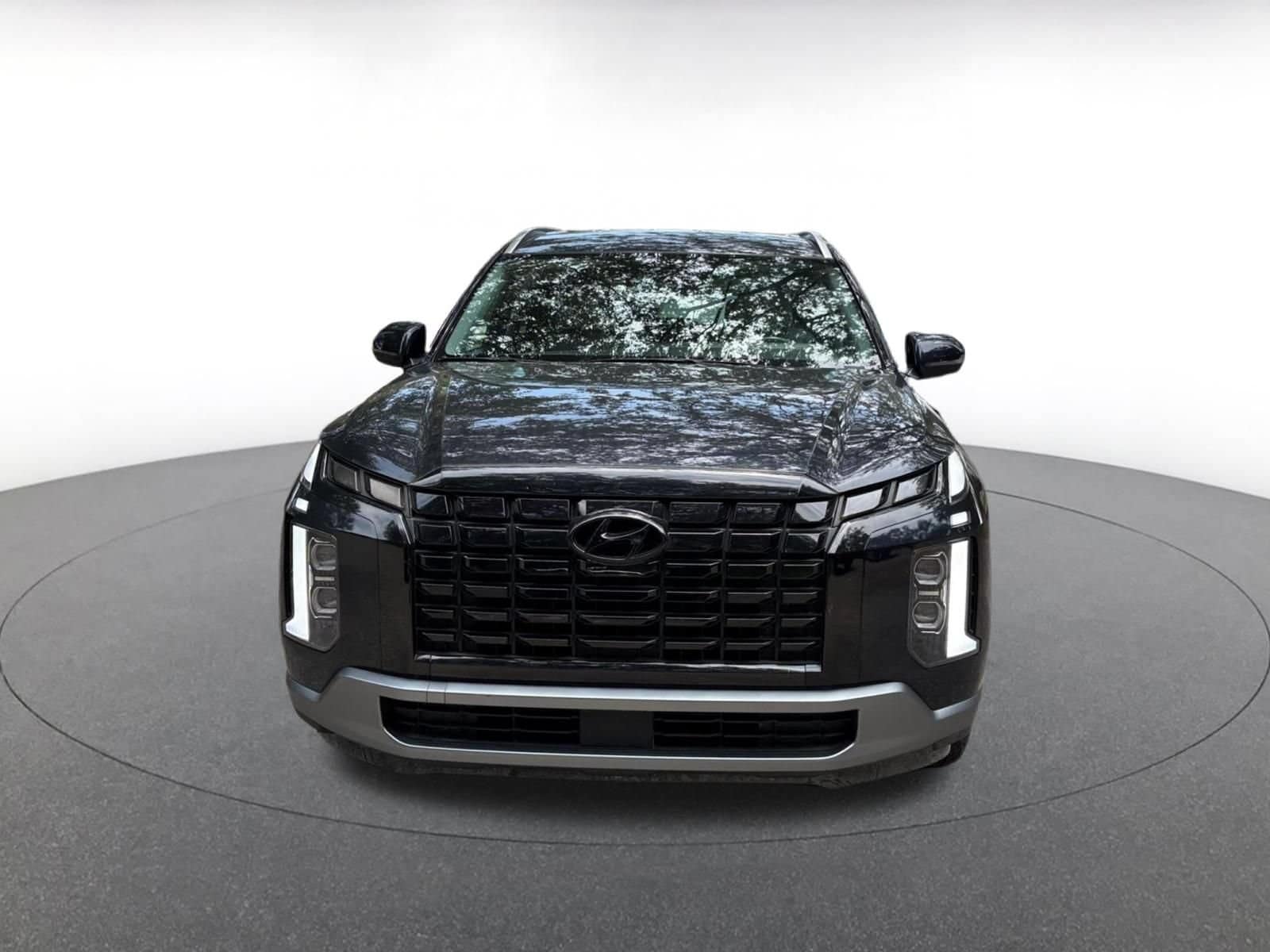 Thumbnail: 2025 Hyundai Palisade - 2