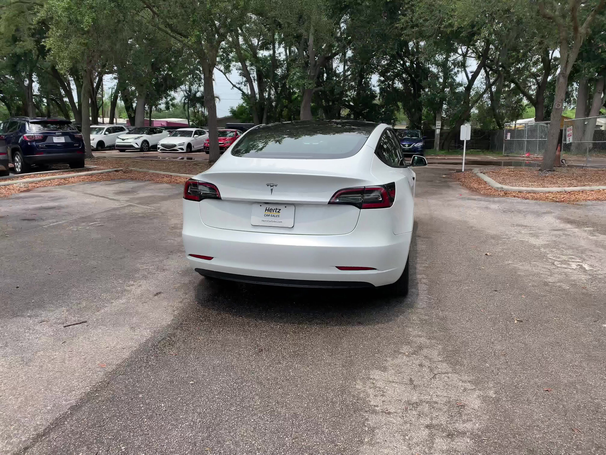 2023 Tesla Model 3 Standard Range 12