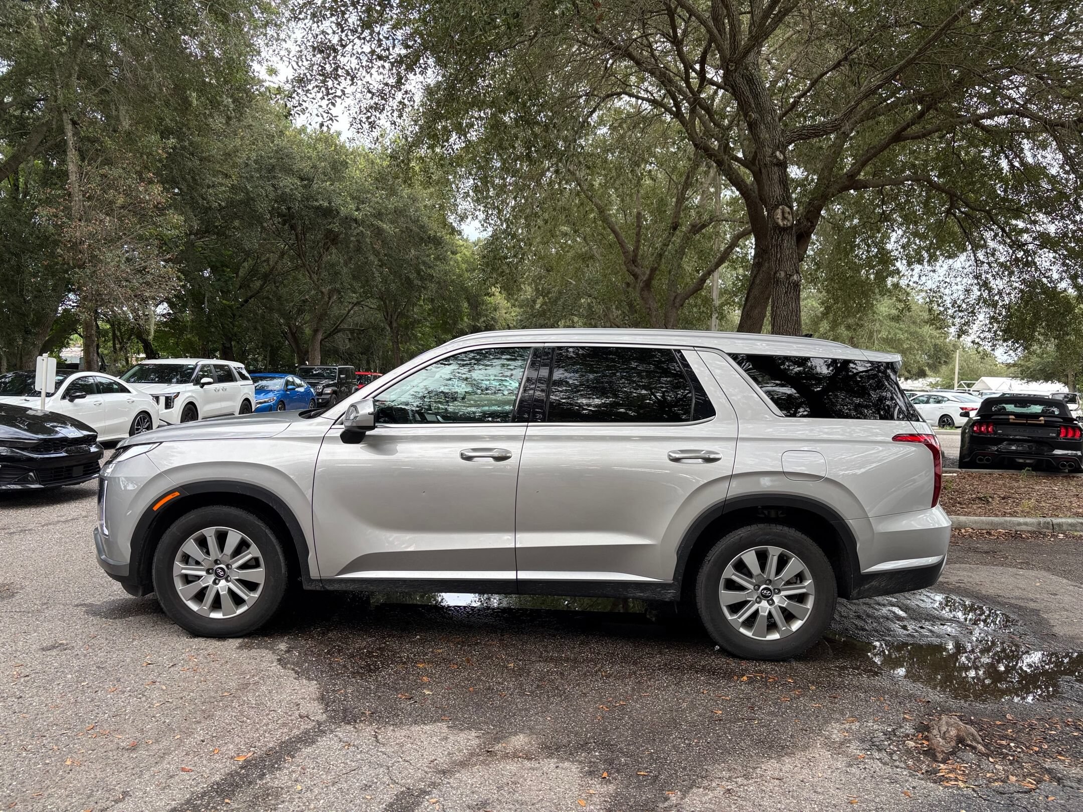 Thumbnail: 2025 Hyundai Palisade - 18