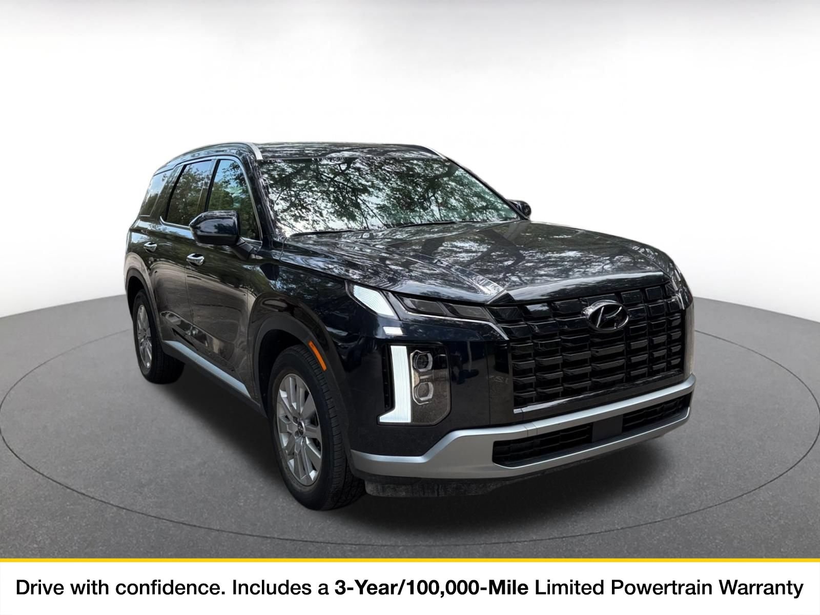 Thumbnail: 2025 Hyundai Palisade - 1