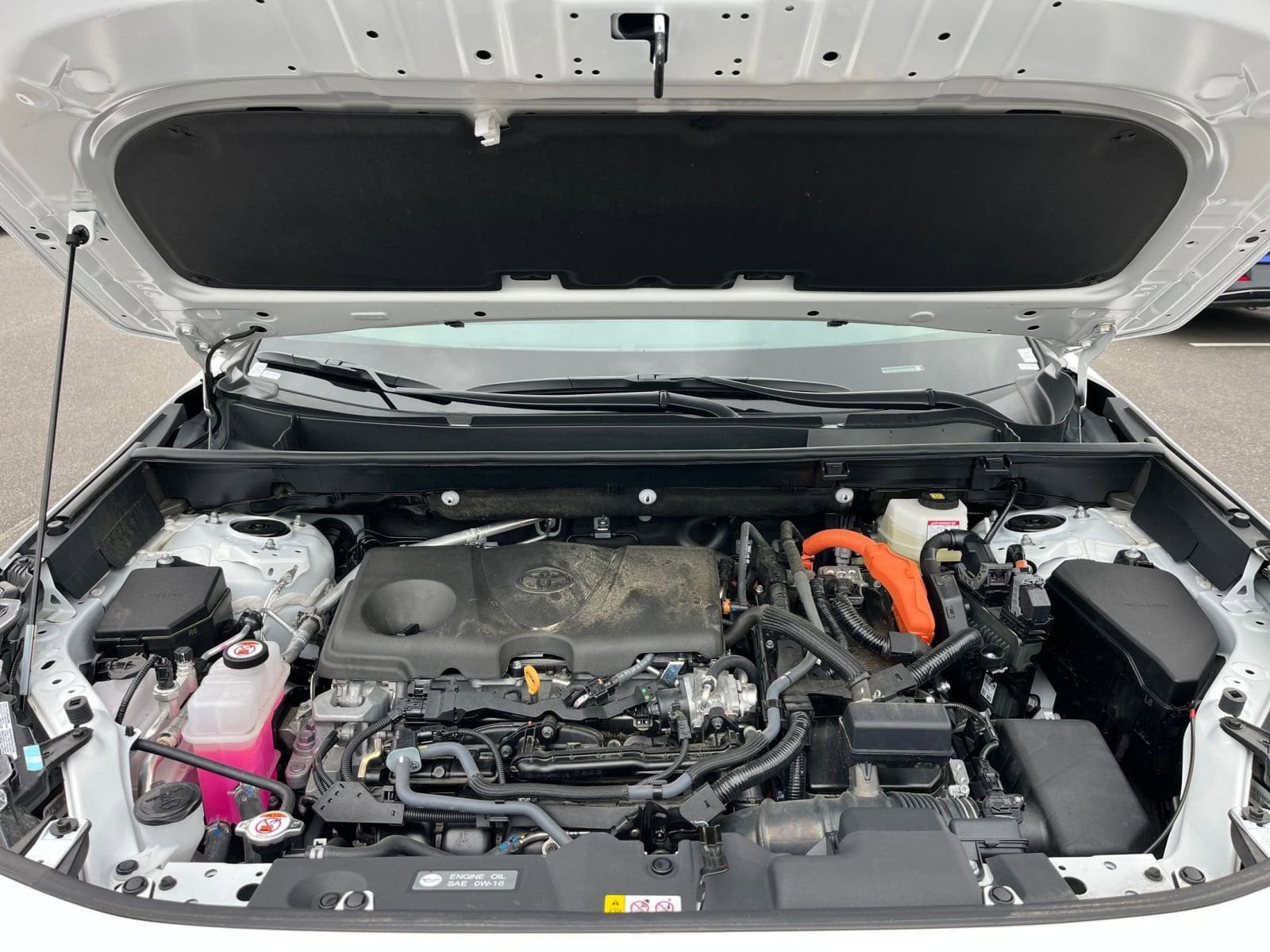 Thumbnail: 2025 Toyota RAV4 - 31