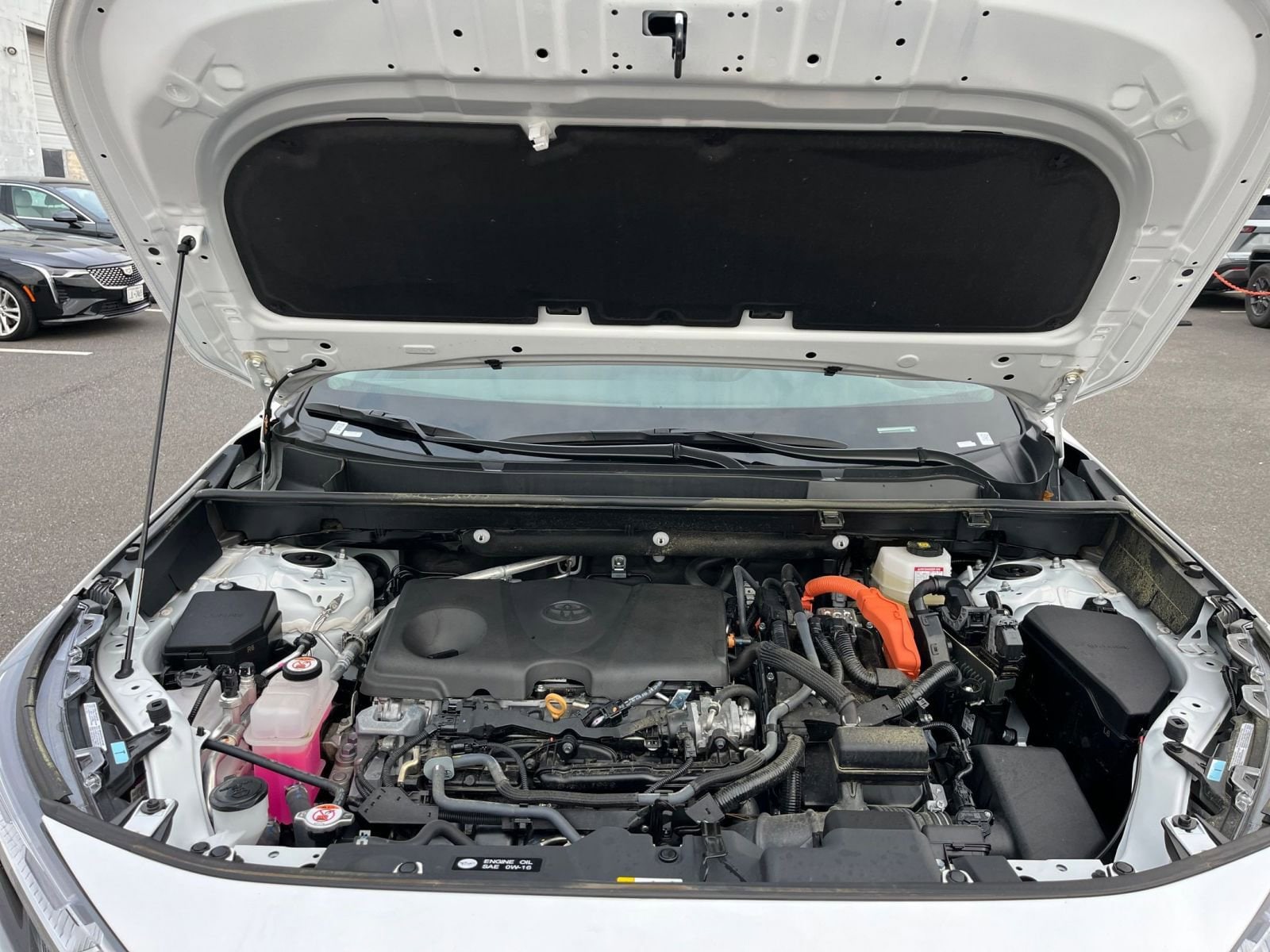 Thumbnail: 2025 Toyota RAV4 - 31