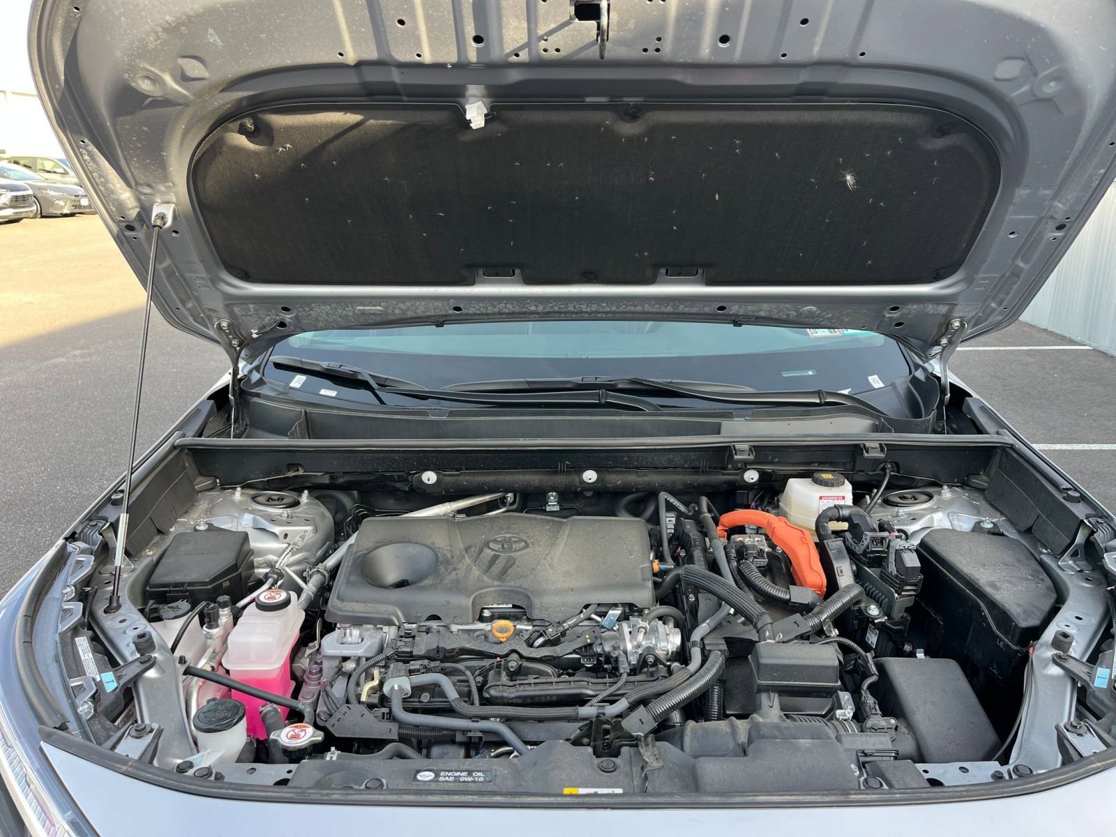 Thumbnail: 2025 Toyota RAV4 - 31