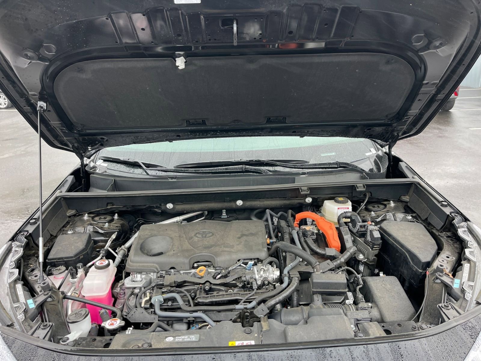 Thumbnail: 2025 Toyota RAV4 - 31