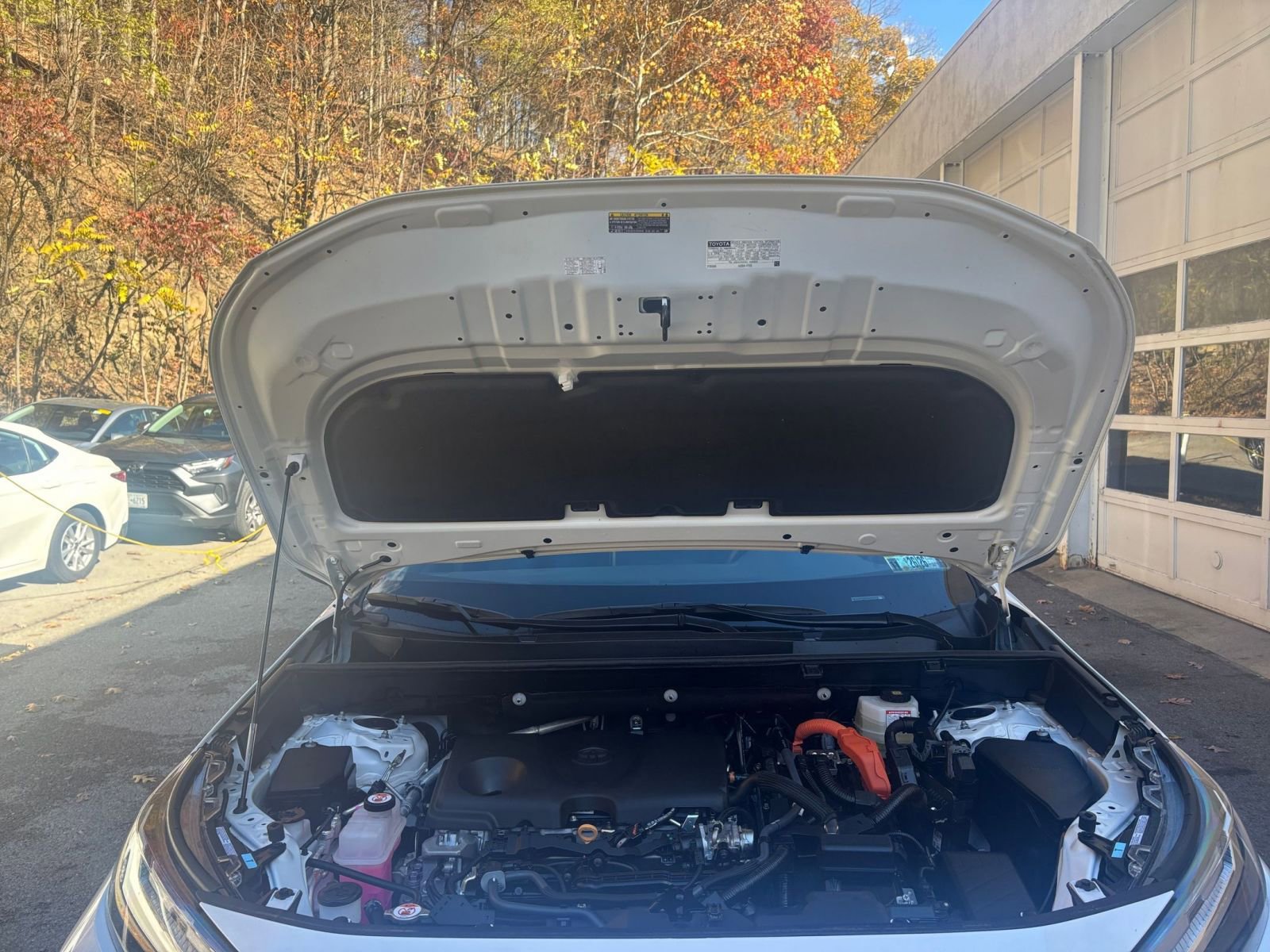 Thumbnail: 2025 Toyota RAV4 - 31