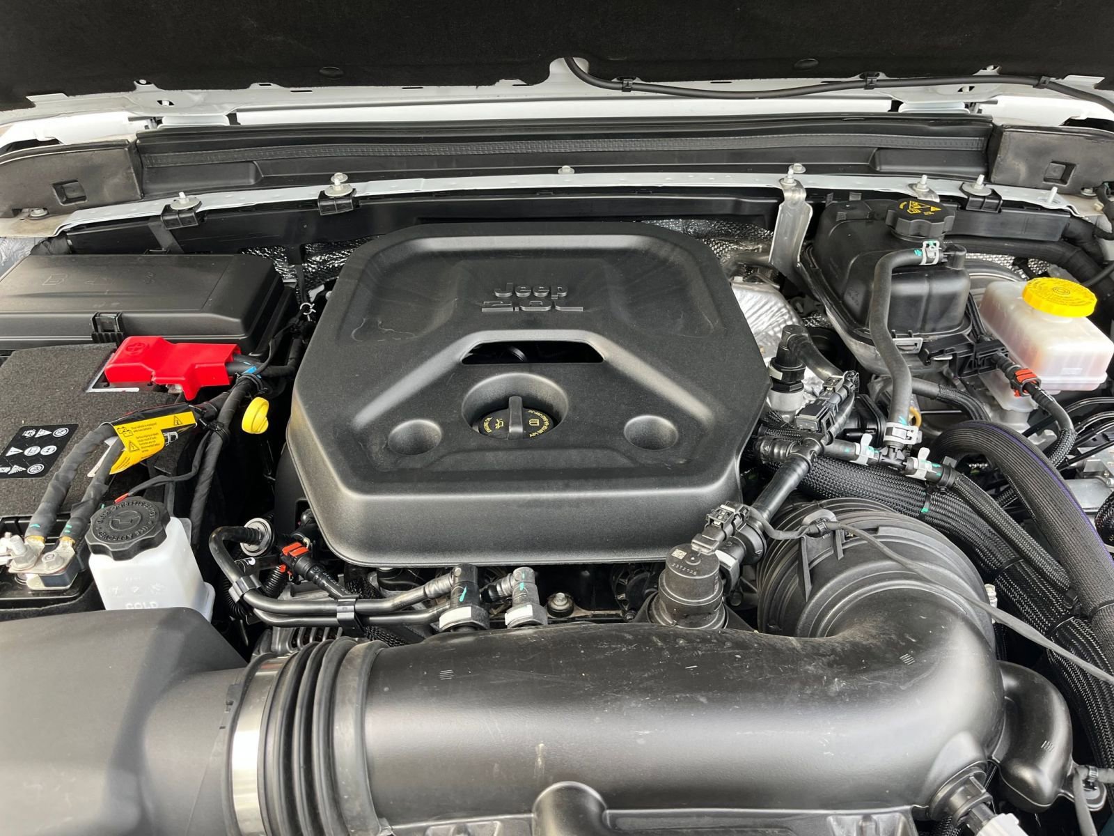 Thumbnail: 2025 Jeep Wrangler - 31