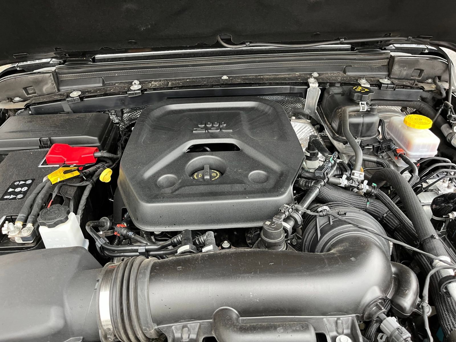 Thumbnail: 2025 Jeep Wrangler - 31