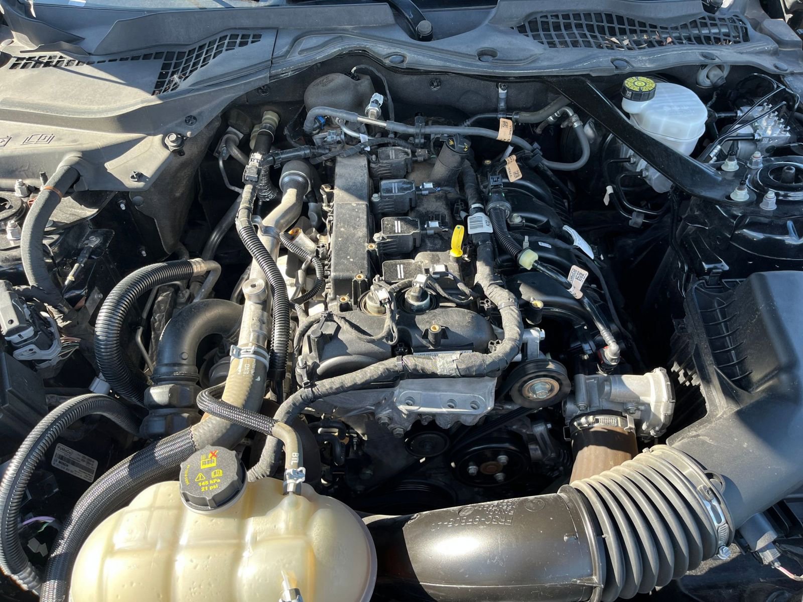 Thumbnail: 2023 Ford Mustang - 31