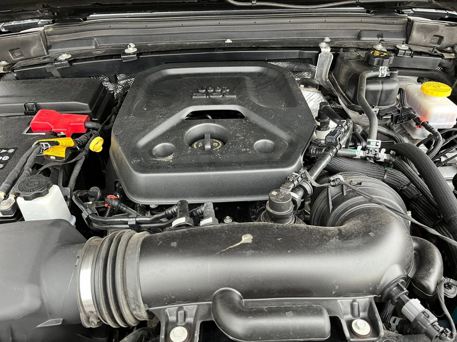 Thumbnail: 2025 Jeep Wrangler - 31