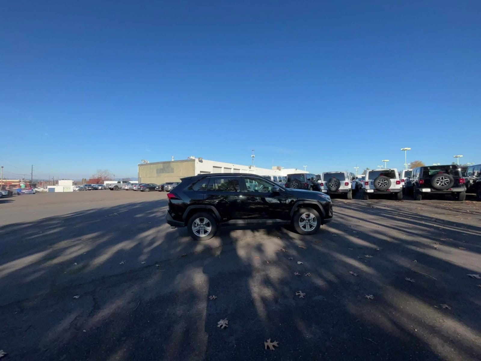 Thumbnail: 2025 Toyota RAV4 - 12