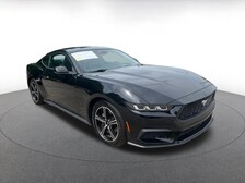 2024 Ford Mustang  -
                  Raleigh, NC