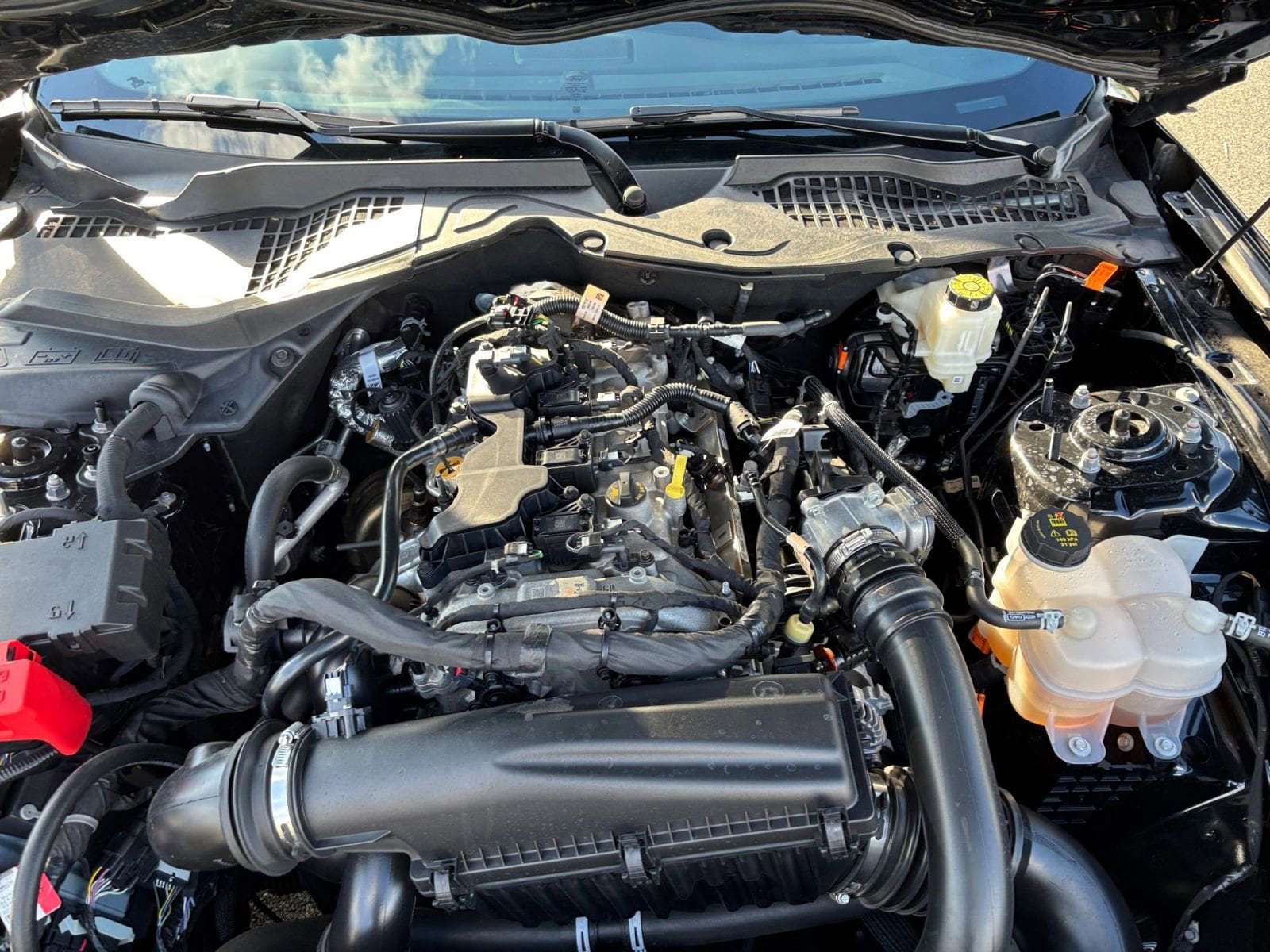 Thumbnail: 2024 Ford Mustang - 31